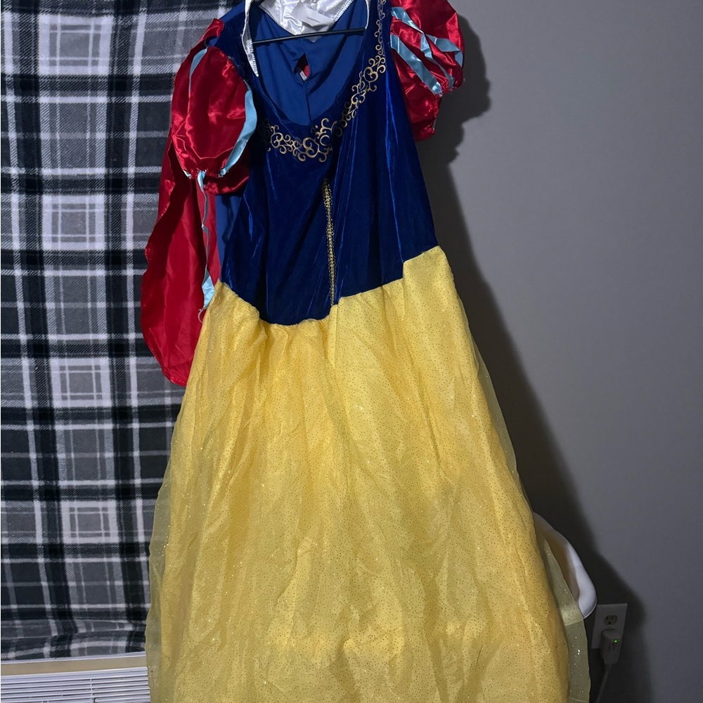 Plus size Snow White costume